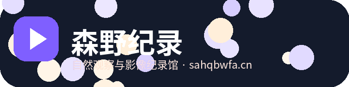 森野纪录